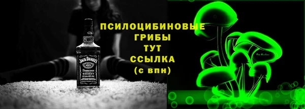 mix Пересвет